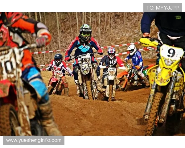 北京乒乓球队耐力表现数据分析揭示训练效果与竞技水平的关系 北京乒乓球队耐力表现数据分析揭示训练效果与竞技水平的关系