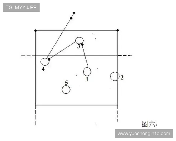 北京排球队的节奏分析与战术演变探讨 北京排球队的节奏分析与战术演变探讨