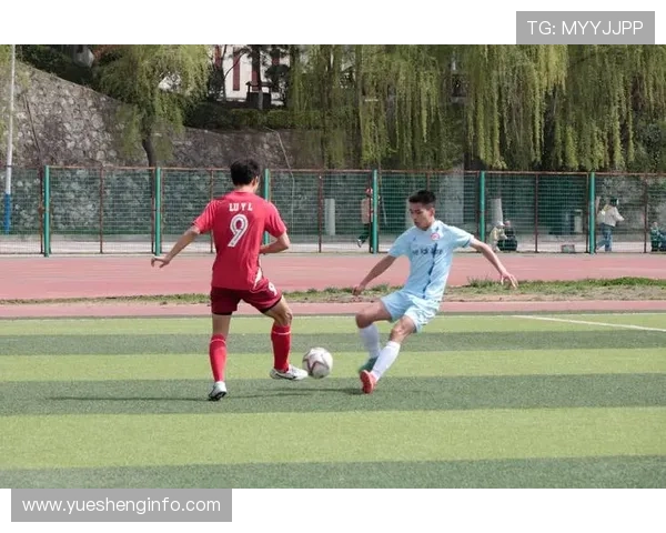 丹凤足球明星的崛起与成就探秘以及对中国足球的影响分析 丹凤足球明星的崛起与成就探秘以及对中国足球的影响分析